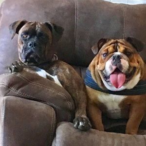 Meet your Posher, Lori